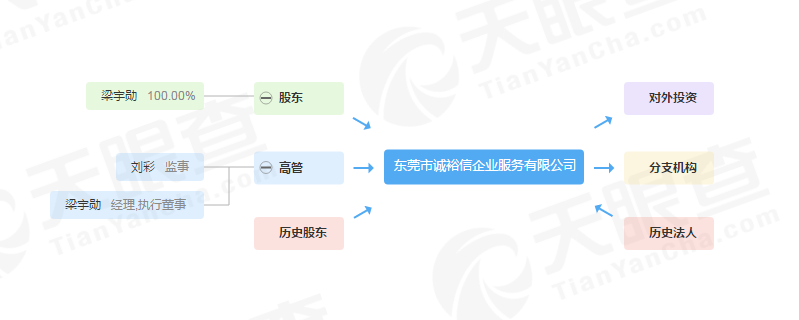 東莞誠宇鑫商標(biāo)代理公司怎么樣？這幾個方面深入分析了